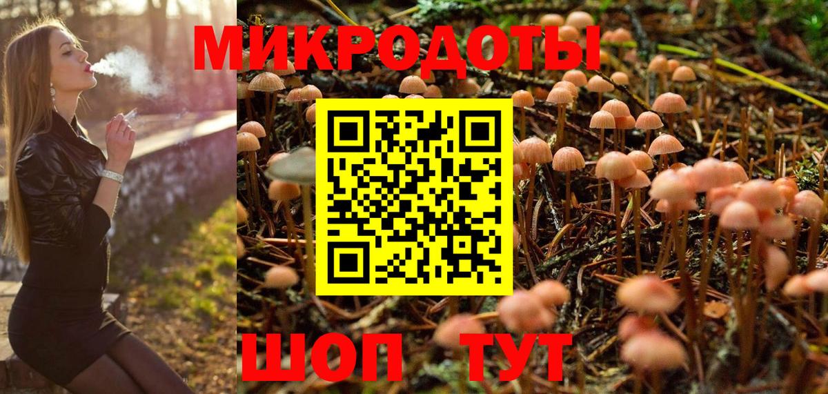 Галлюциногенные грибы Psilocybe Орёл